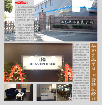 公司简介